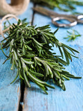 Rosmarinöl 100 % rein (Rosemary Oil)