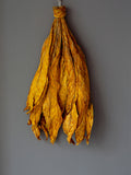 Kephalis