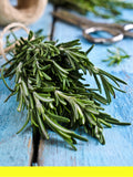 Biberiye Yağı %100 Saf (Rosemary Oil)