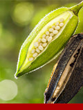 Helvetolide® (Firmenich)