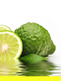 Bergamot Yağı (Bergaptensiz)