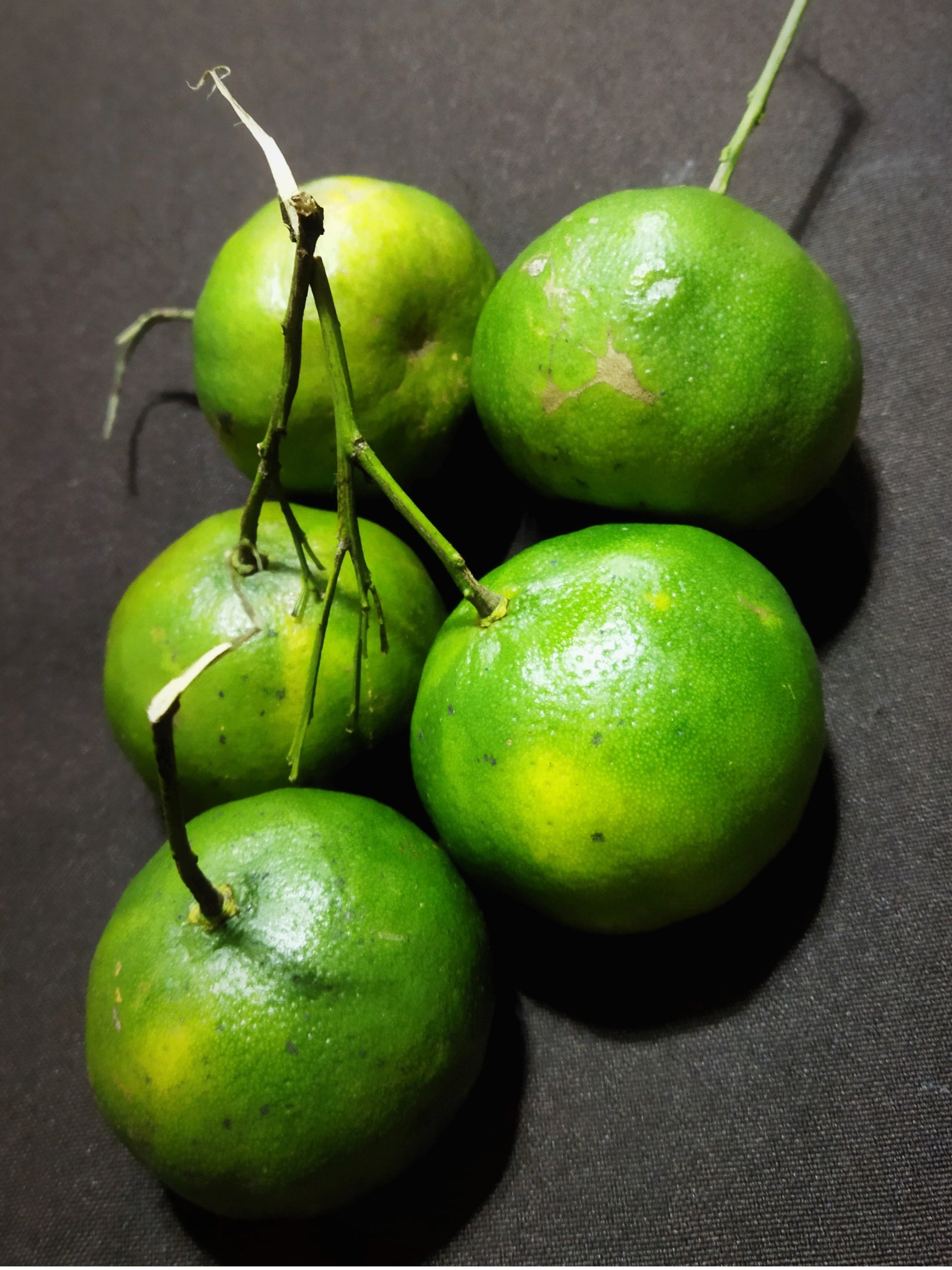 Green Mandarin Oil (CAPUA 1880)