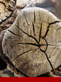 Okoumal