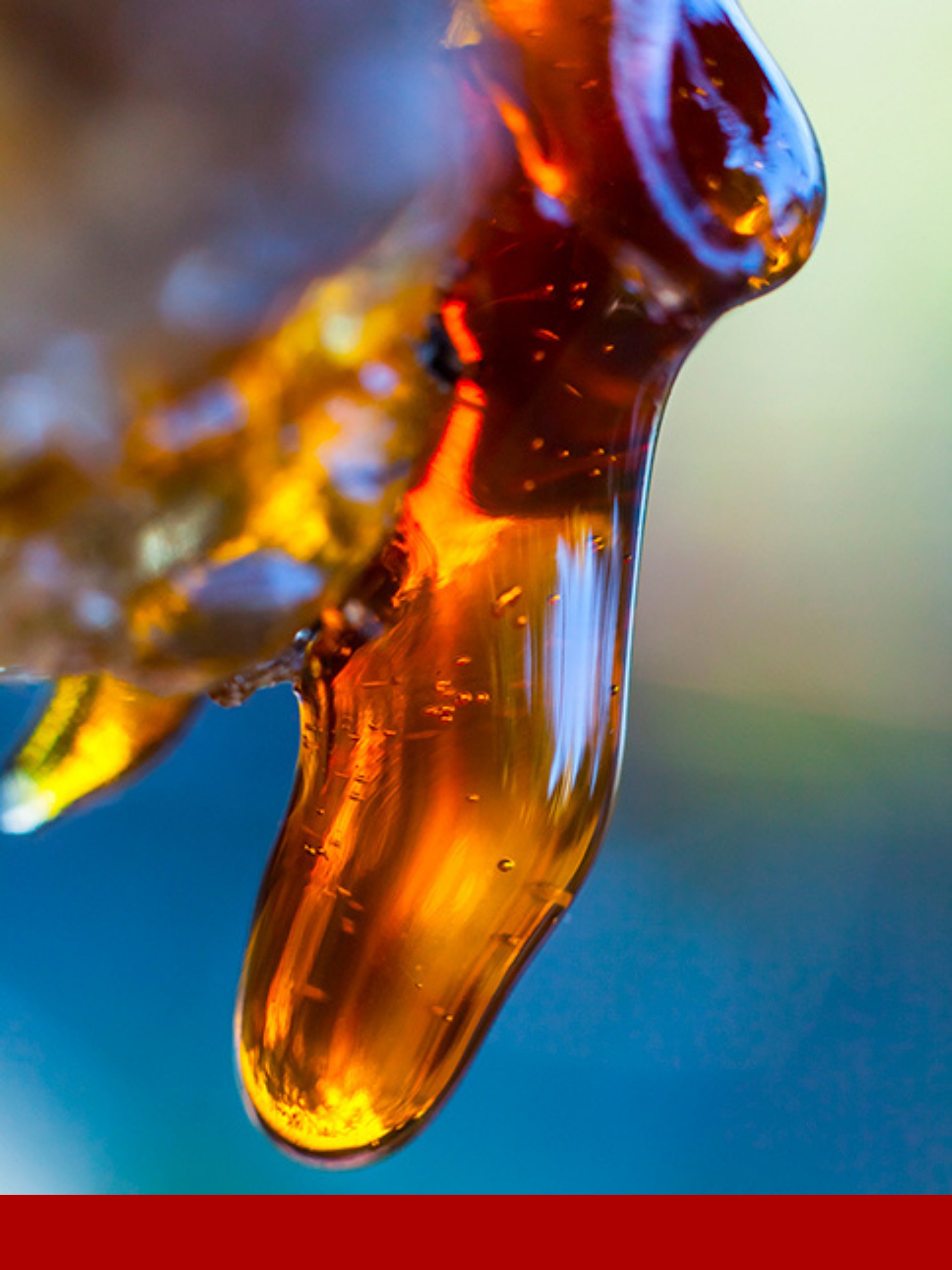 Benzion Resinoid Siam %50 DPG