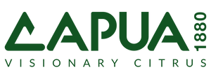 Capua1880