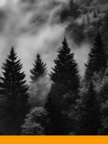 Coniferan (IFF)
