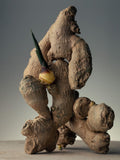 Zencefil Yağı (Ginger Oil)