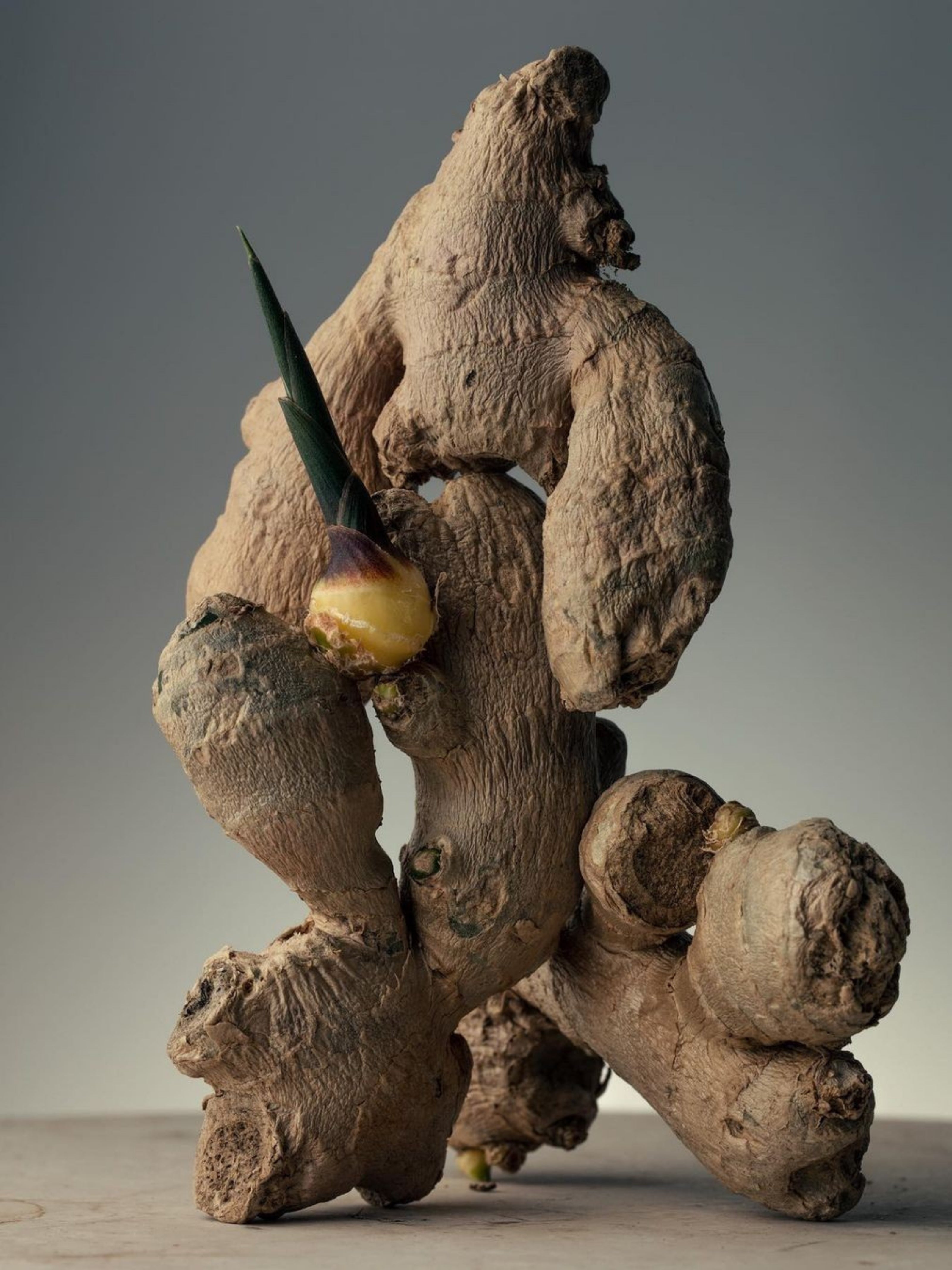 Zencefil Yağı (Ginger Oil)