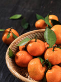 Red Mandarin Oil (CAPUA 1880)
