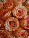 Rose Oxide