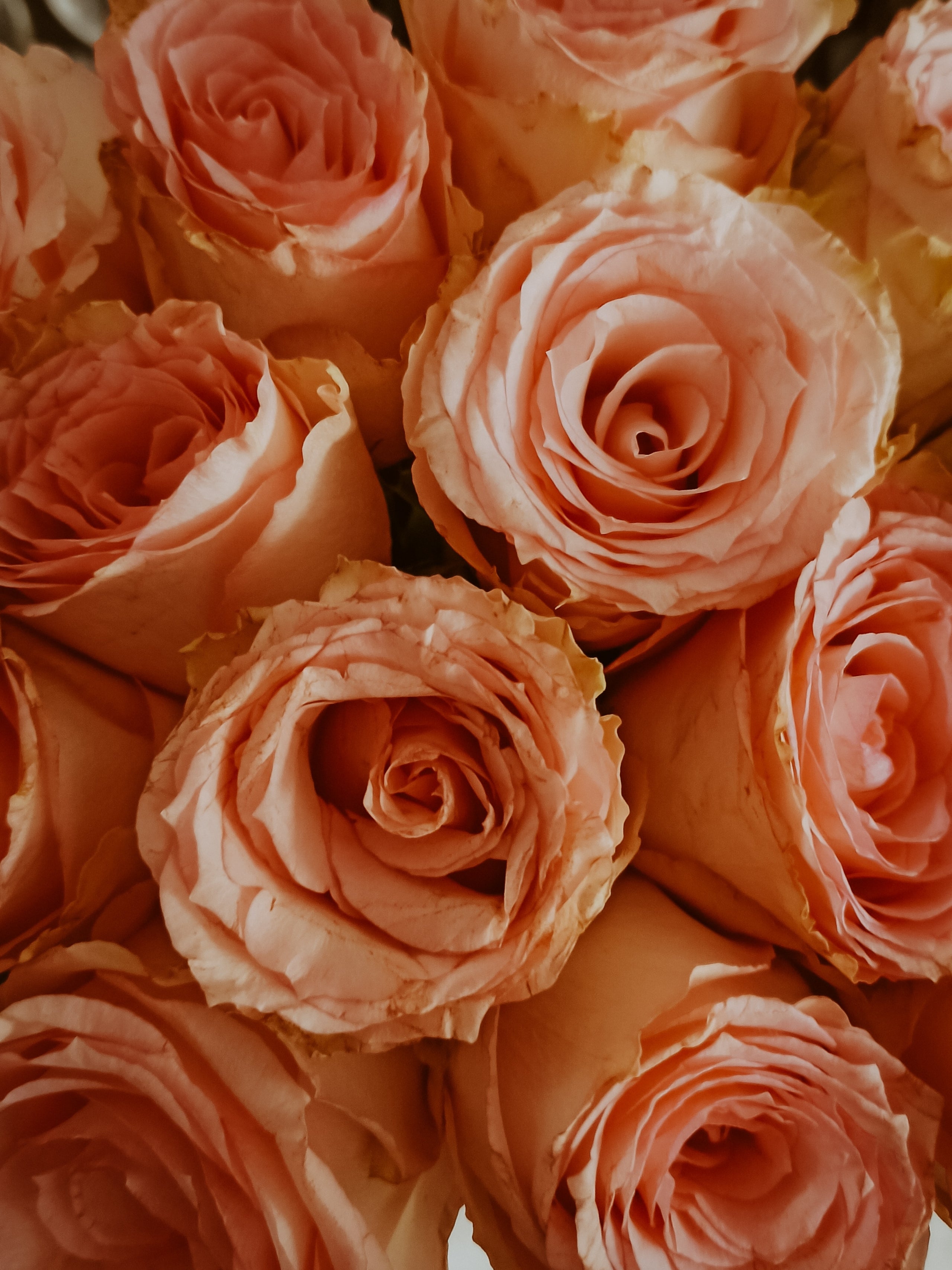 Rose Oxide
