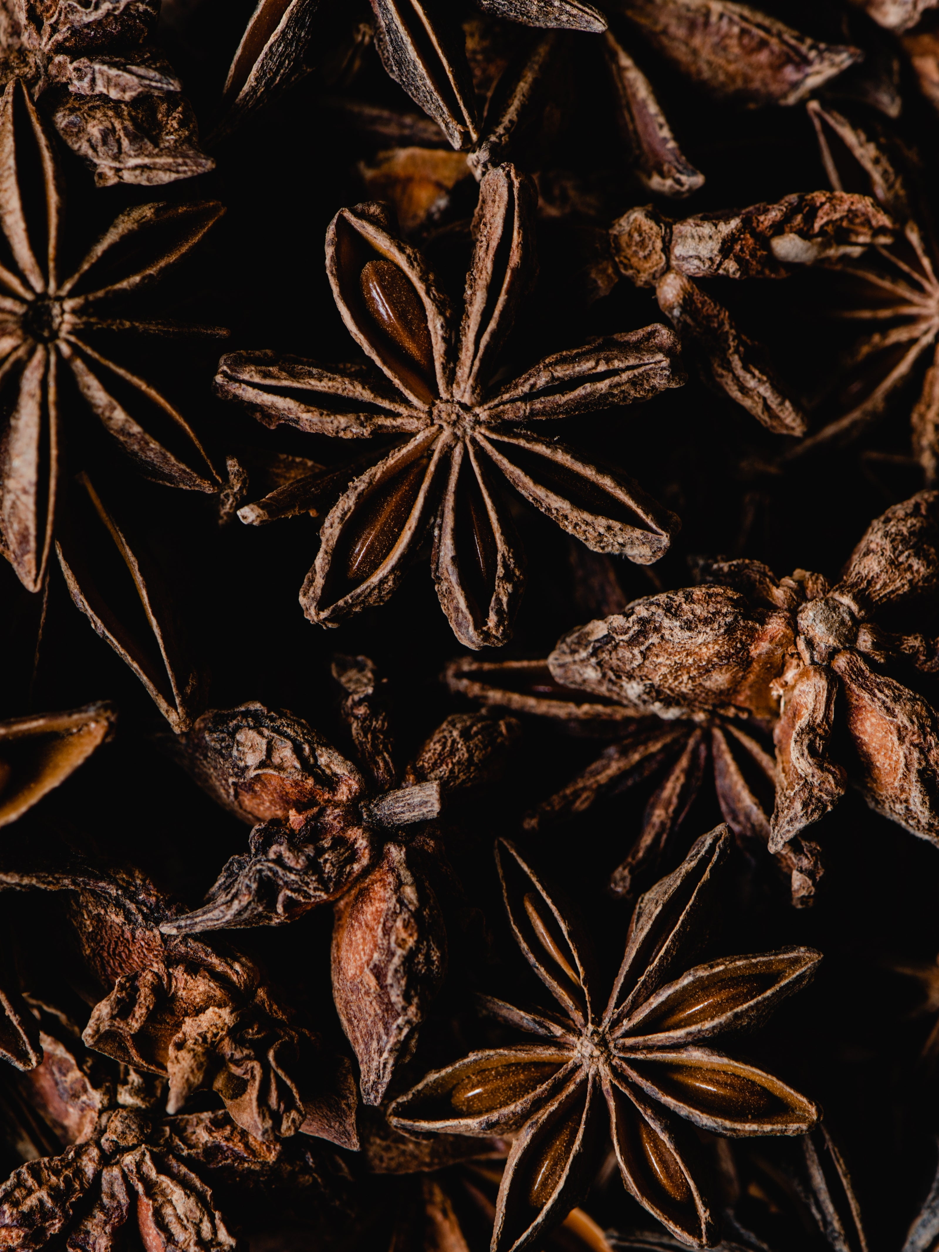 Star Anise Oil (Yıldız Anason Yağı)