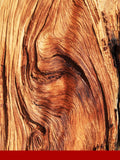 Timberol