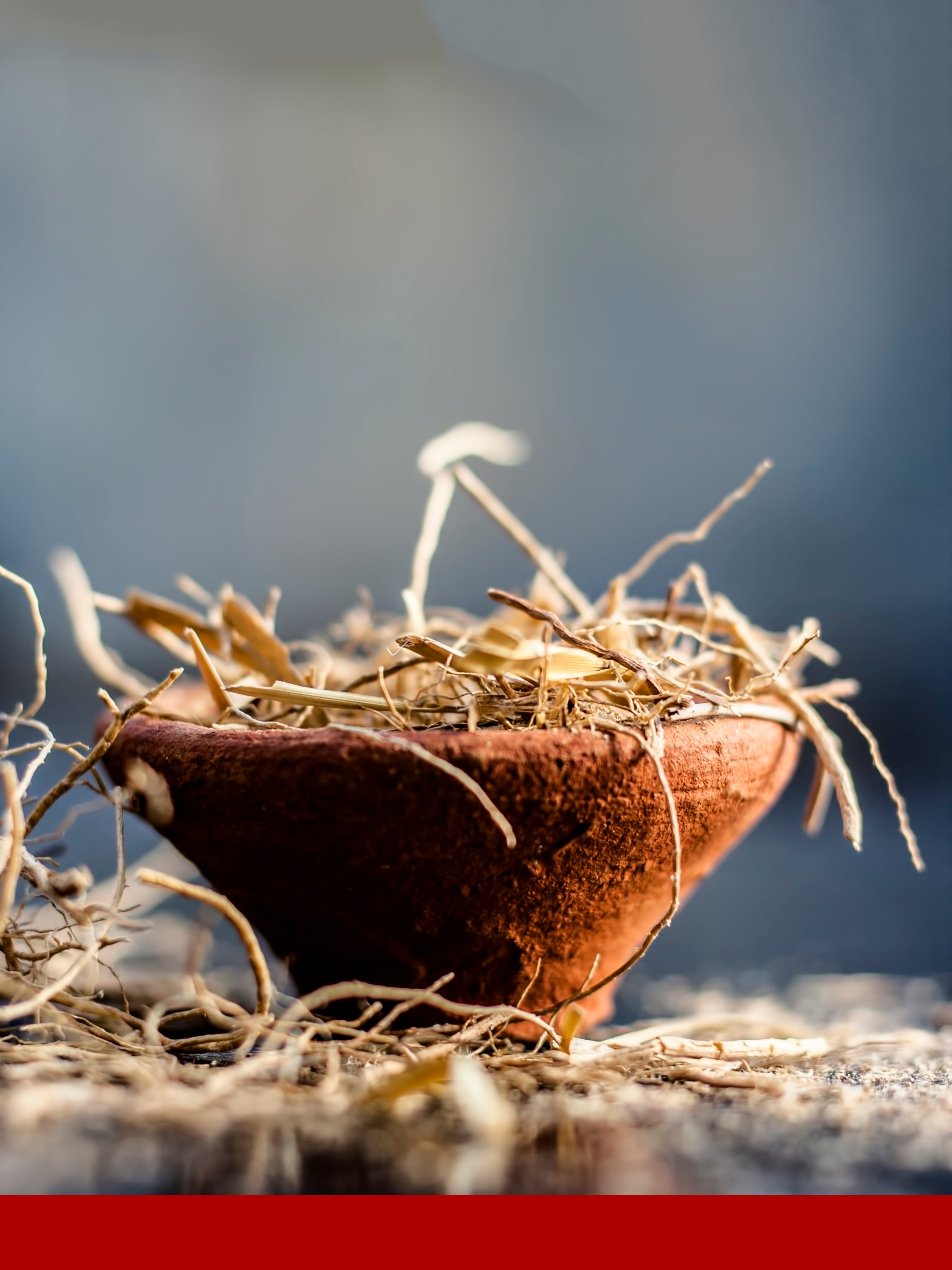 Vetiveryl Acetate ex Haiti