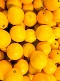 Yellow Mandarin Oil (CAPUA 1880)